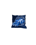 COJÍN CLUB CELAYA