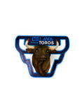 LETRERO LED TORO