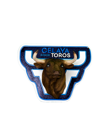 LETRERO LED TORO